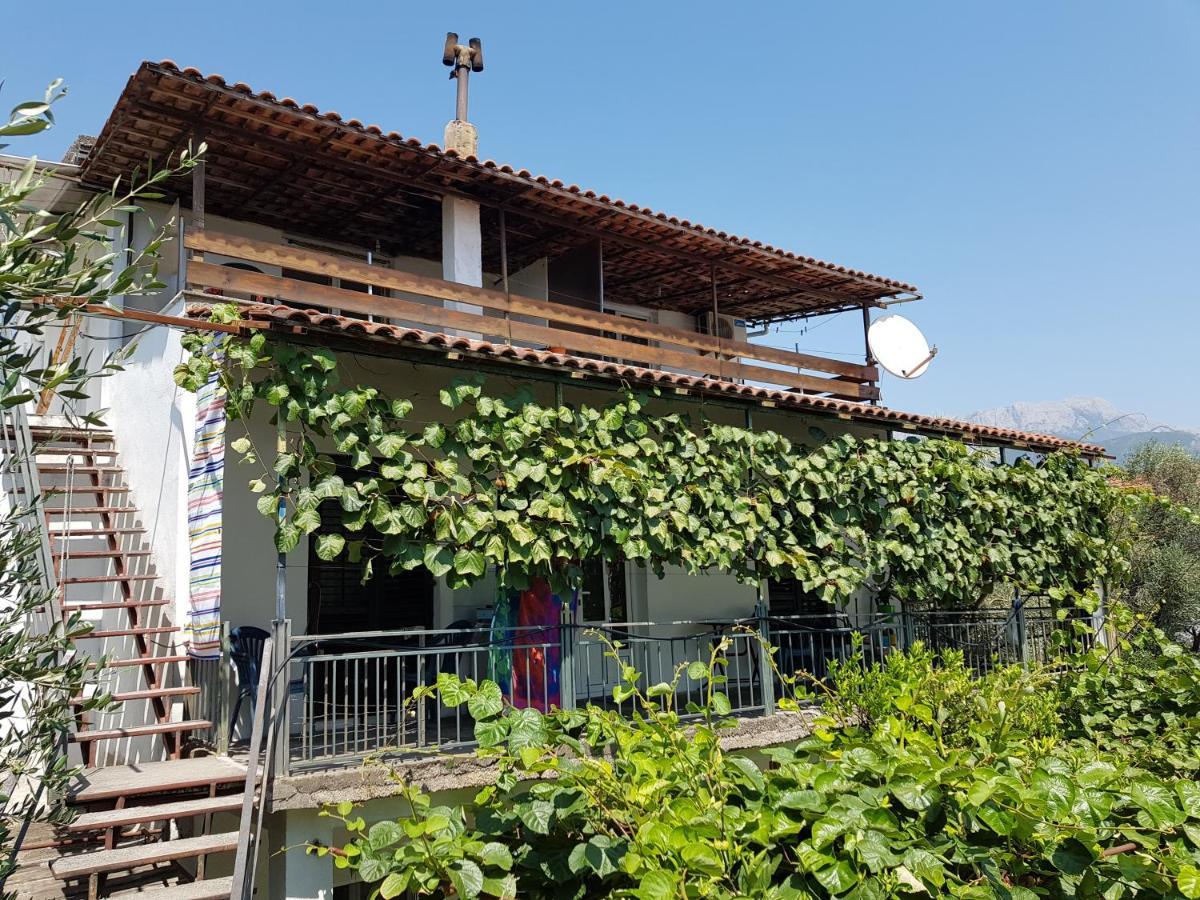 Gordana Apartment